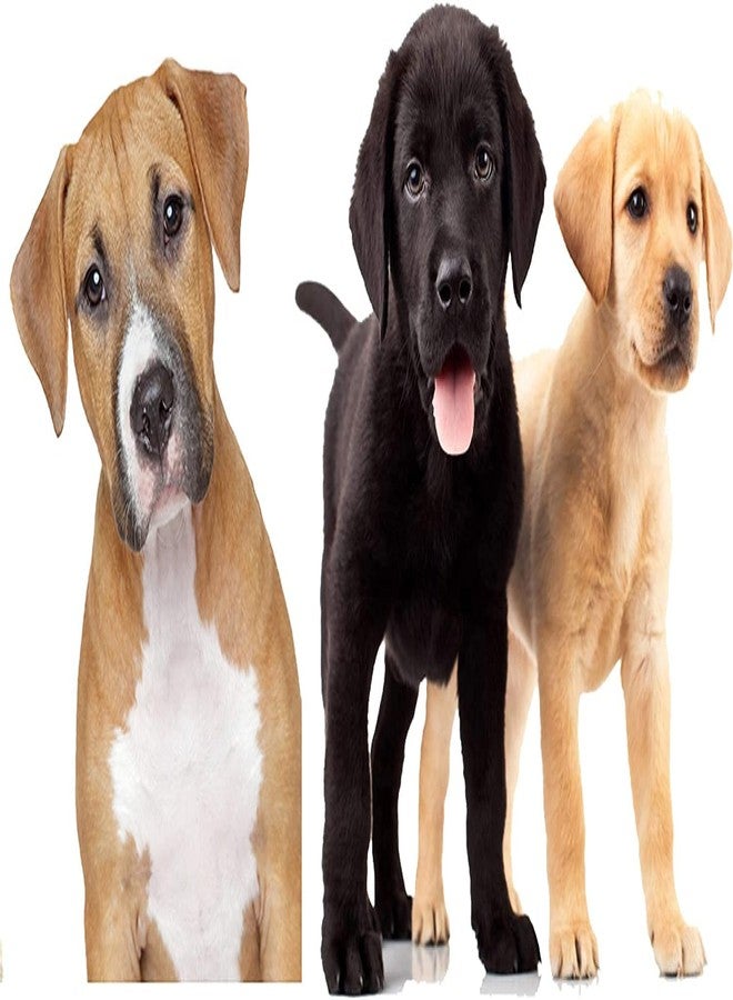 Smart Pups طقم سمارت بابز للكلاب الصغيرة، يتضمن حزامًا وطوقًا قابلين للتعديل (مقاوم للماء، مصنوع من النايلون) (أحمر، صغير) - Image 3
